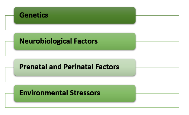 Risk factors of Schizophrenia